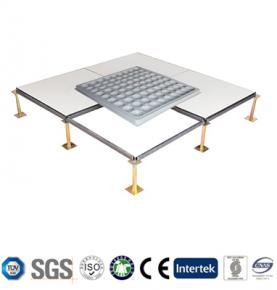 800x800 Anti-static Steel Access Floor